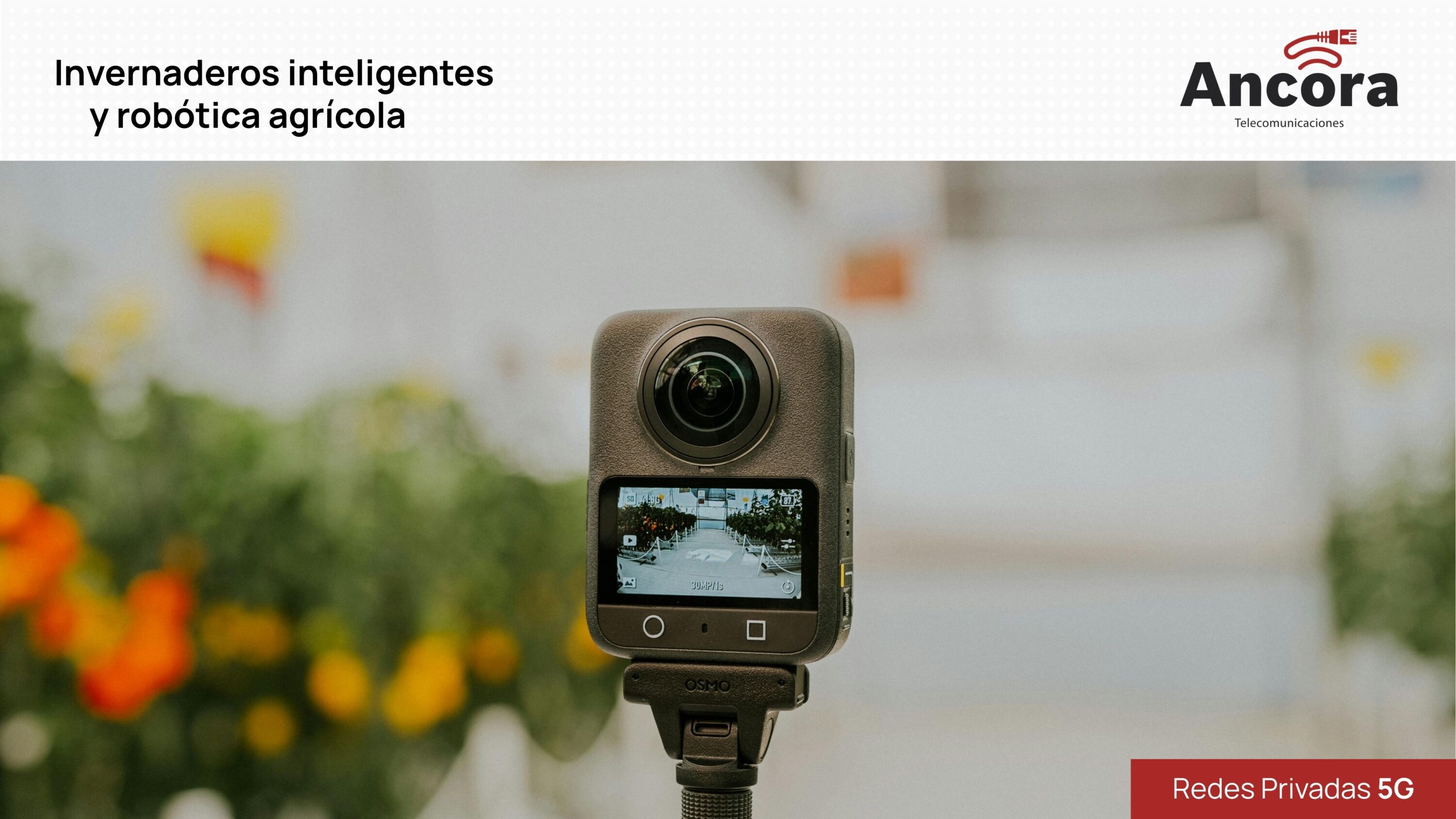 redes-5g-cuatro-sectores-01